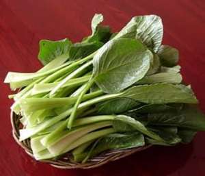 四季豆炒鸡蛋的做法怎么做四季豆炒鸡蛋如何