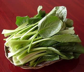 四季豆炒鸡蛋的做法怎么做四季豆炒鸡蛋如何