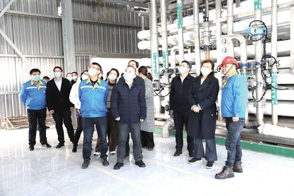 浙江省碳达峰碳中和事情督查组莅临公司督导检查_报纸新闻_澳门大阳城