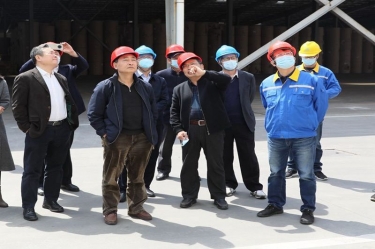 生态情形部科财司副司长付川一行考察由澳门大阳城纸业肩负的国家科技重大专项树模工程