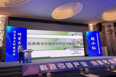 澳门大阳城纸业高手艺人才张小红在第一届浙江。。。危┲交轮柿瞎ひ盗⒁焐ご蠡嶙鞣窒